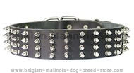 Fashionable Leather Collar With Spikes For Belgian Malinois