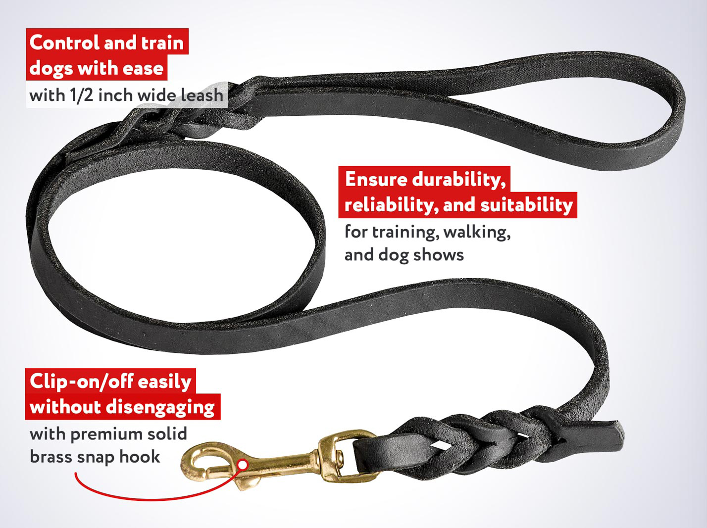 braided dog leash