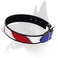 American Flag Collar for Belgian Malinois