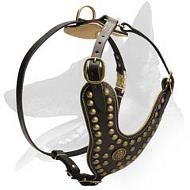 Exclusive Design Studded Leather Harness for Belgian Malinois Exclusive Design Studded Leather Harness for Belgian Malinois