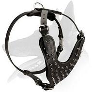 Spiked Leather Harness for Belgian Malinois