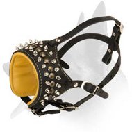 Spiked and Studded Leather Muzzle for Belgian Malinois Spiked and Studded Leather Muzzle for Belgian Malinois