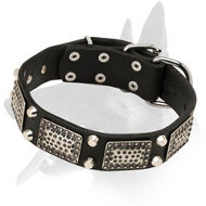 Stunning Leather Collar With Nickel Plates And Cones