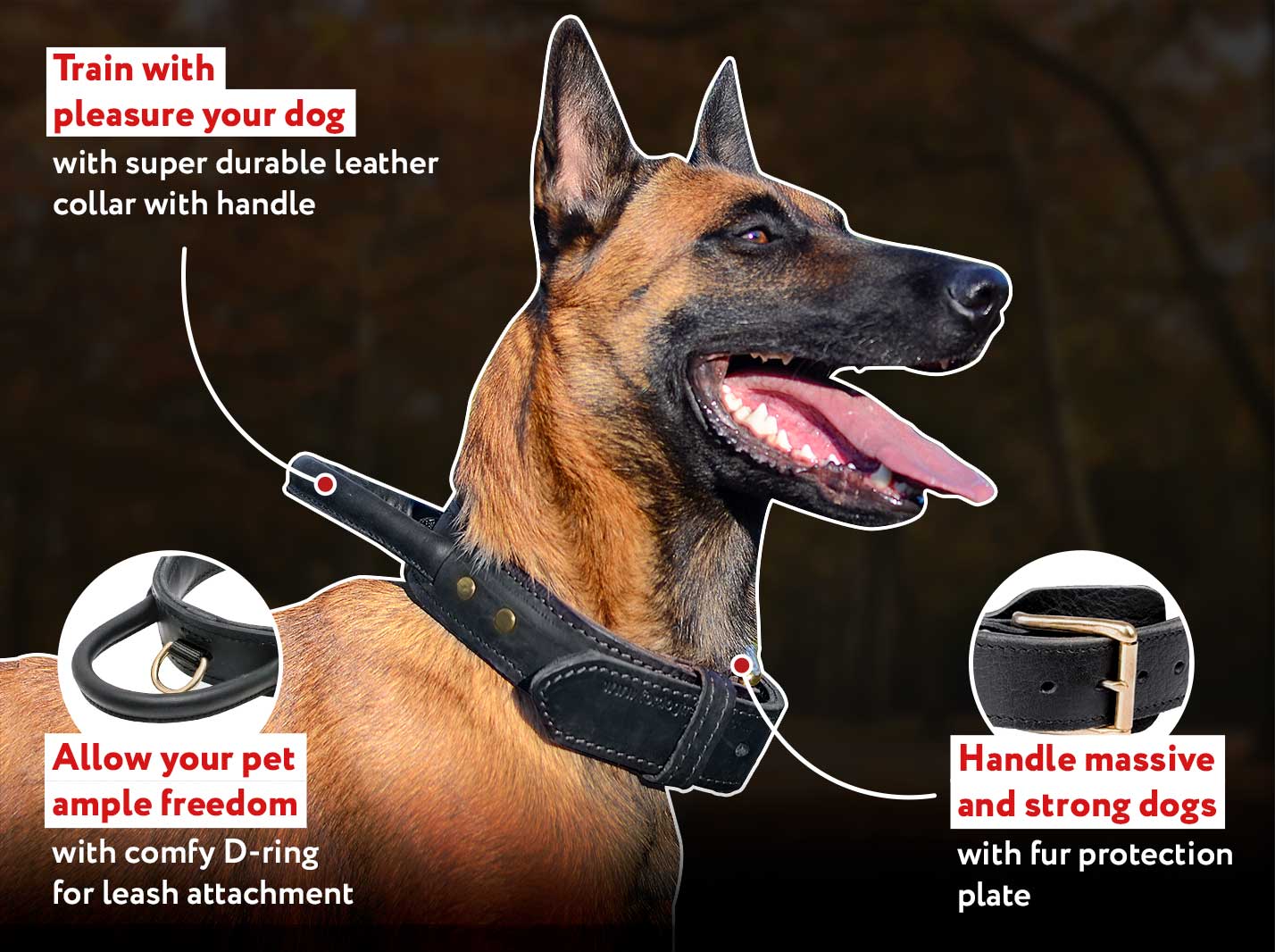 Get Belgian Malinois Leather Dog Collar