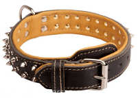 Luxurious Nappa Padded Leather Collar With Spikes