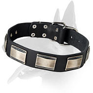 Fabulous Leather Collar With Nickel Plates