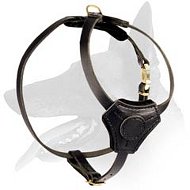 Small Leather Harness for Belgian Malinois Puppy