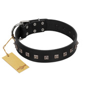 "Natural Beauty" Premium Quality FDT Artisan Black Designer Belgian Malinois Collar with Dotted Studs