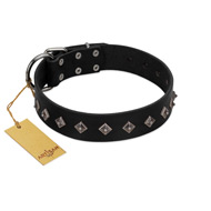 "Immense Power" Handcrafted FDT Artisan Black Leather Belgian Malinois Collar with Small Dotted Pyramids