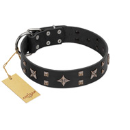"Star Excitement" Modern FDT Artisan Black Leather Belgian Malinois Collar with Studs and Stars
