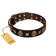 "Captain Hook" FDT Artisan Brown Leather Belgian Malinois Collar with Stars and Skulls