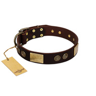 "Bow-Wow Effect" FDT Artisan Brown Leather Belgian Malinois Collar with Plates and Ornate Studs