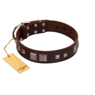 "Object of Virtu" FDT Artisan Brown Leather Belgian Malinois Collar with Old Silver-like Square Studs and Pyramids