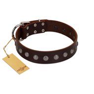"Spring Flower" Stylish FDT Artisan Brown Leather Belgian Malinois Collar for Comfy Walks