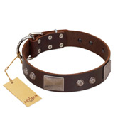 "Stone Stars" Stylish Handmade FDT Artisan Brown Leather Belgian Malinois Collar