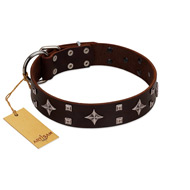 "Trendy Candy" FDT Artisan Brown Leather Belgian Malinois Collar Adorned with Stars and Tiny Squares