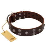 "Skull Valley" Handcrafted FDT Artisan Brown Leather Belgian Malinois Collar with Skulls