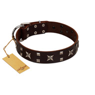 "Bigwig Woof" FDT Artisan Brown Leather Belgian Malinois Collar with Chrome Plated Stars and Square Studs