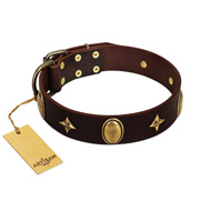 "Victory and Laurels" FDT Artisan Brown Leather Belgian Malinois Collar with Ovals and Stars