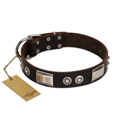 "Baller Status" FDT Artisan Brown Leather Belgian Malinois Collar Adorned with a Set of Chrome Plated Studs and Plates