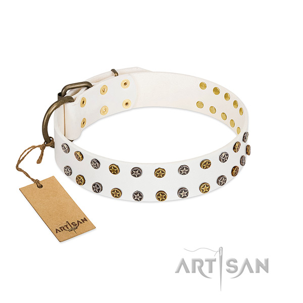 Designer genuine leather dog collar with corrosion proof adornments