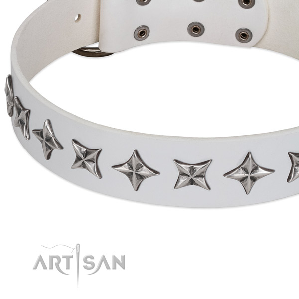 Fancy walking embellished dog collar of reliable natural leather