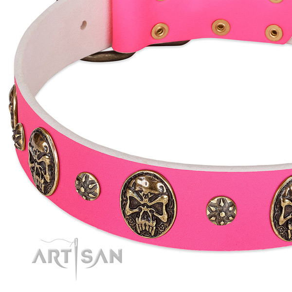 Stylish dog collar made for your attractive four-legged friend