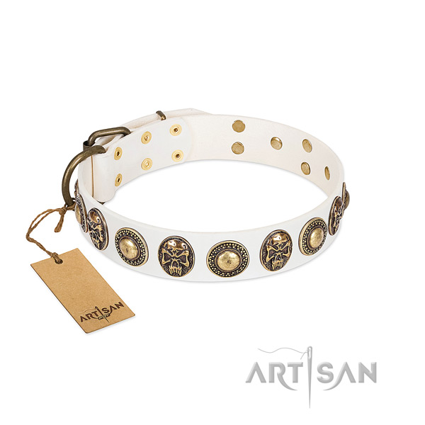 Easy wearing full grain natural leather dog collar for basic training your doggie