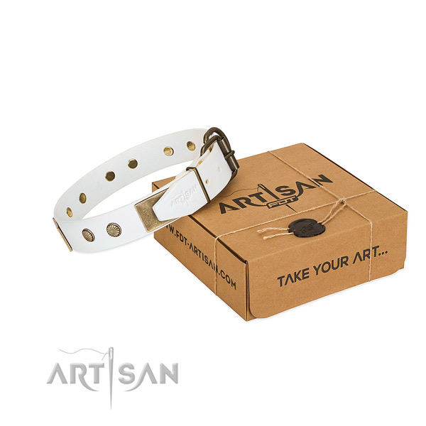 Reliable fittings on dog collar for comfy wearing