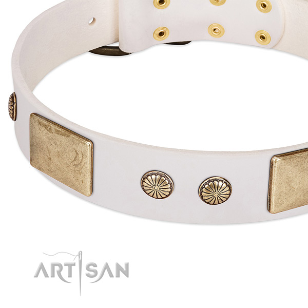 Rust resistant traditional buckle on full grain leather dog collar for your doggie