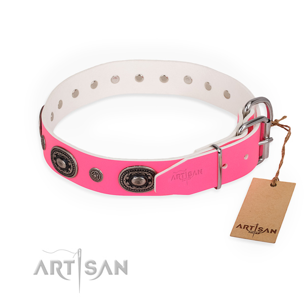 Daily use unique dog collar with rust-proof fittings