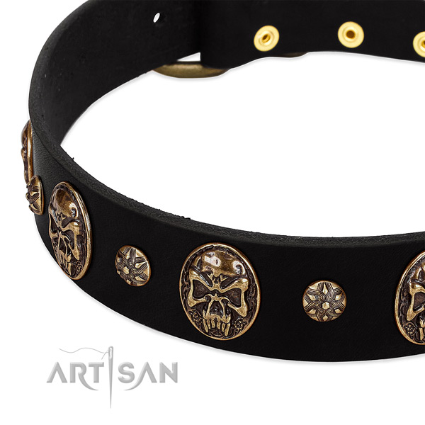 Reliable traditional buckle on full grain genuine leather dog collar for your dog