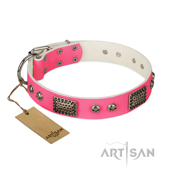 Easy wearing full grain leather dog collar for stylish walking your doggie