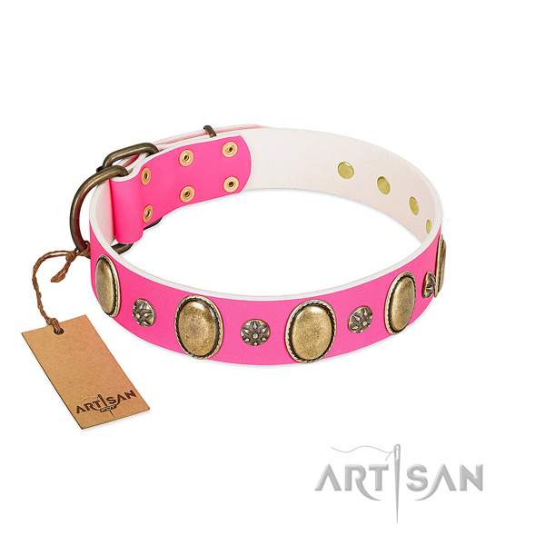 Daily walking soft to touch genuine leather dog collar with studs