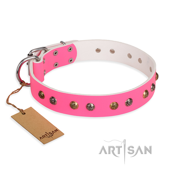 Basic training extraordinary dog collar with corrosion resistant traditional buckle