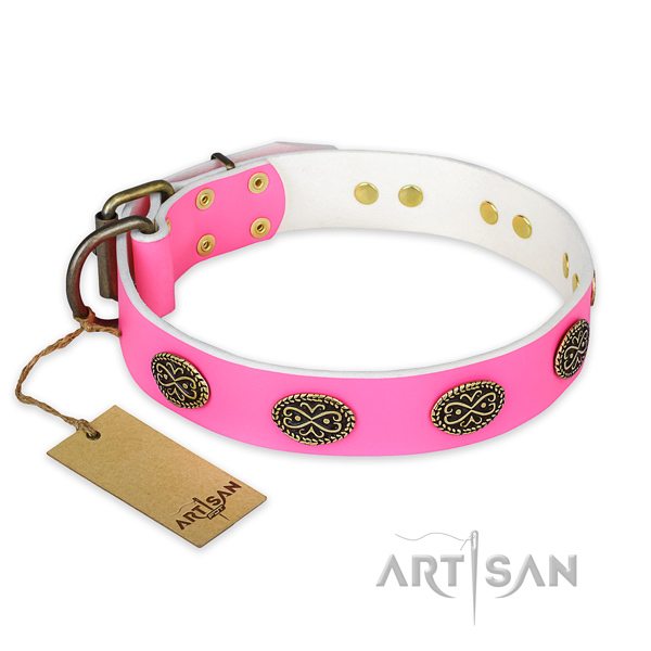 Extraordinary full grain leather dog collar for walking