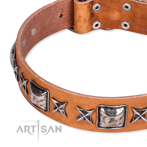 Basic training adorned dog collar of quality full grain genuine leather