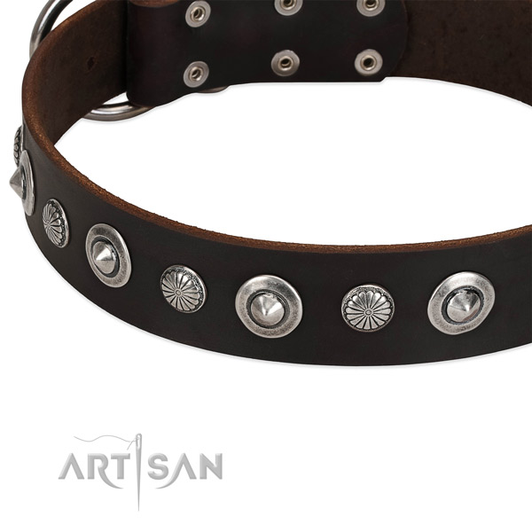 Incredible studded dog collar of reliable full grain genuine leather