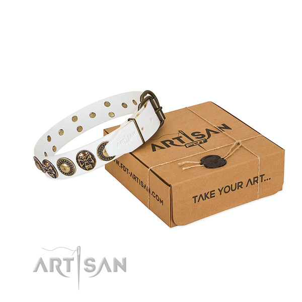 Reliable buckle on dog collar for basic training