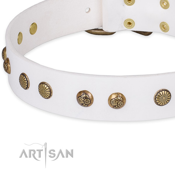 Leather collar with durable traditional buckle for your impressive doggie