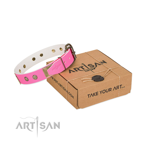 Corrosion proof adornments on dog collar for stylish walking
