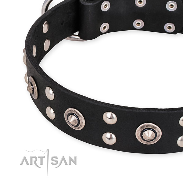 Natural leather collar with rust-proof hardware for your attractive pet