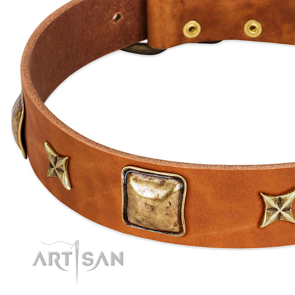 Corrosion resistant fittings on full grain leather dog collar for your pet