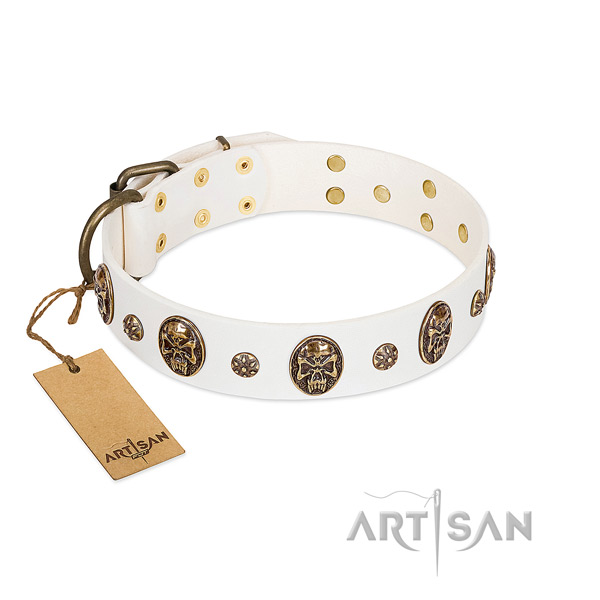 Easy adjustable leather collar for your dog