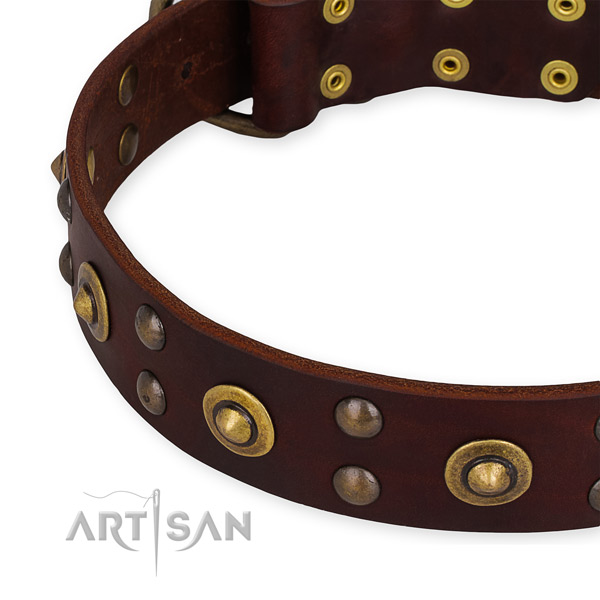 Genuine leather collar with corrosion proof fittings for your beautiful four-legged friend