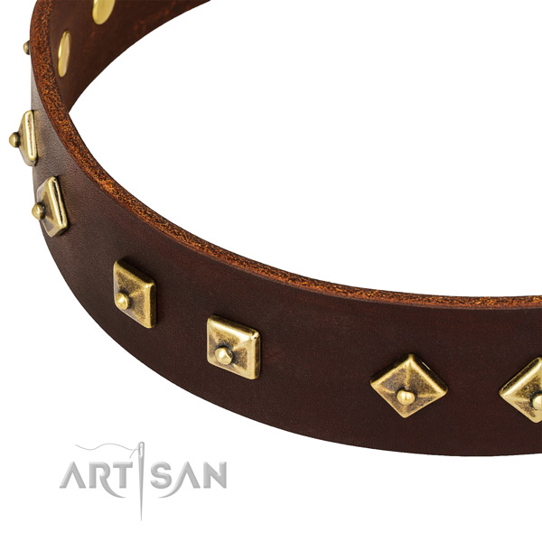 Adorned genuine leather collar for your impressive doggie