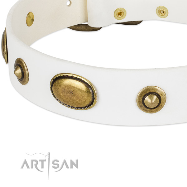 Durable decorations on genuine leather dog collar for your four-legged friend