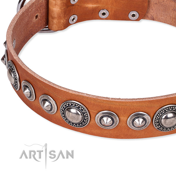 Basic training decorated dog collar of finest quality full grain natural leather