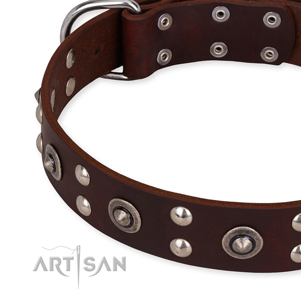 Full grain genuine leather collar with corrosion resistant hardware for your beautiful canine