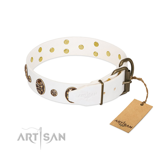 Corrosion resistant decorations on natural genuine leather dog collar for your pet